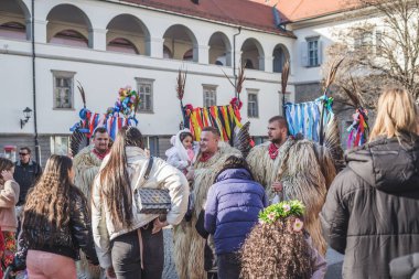 Maribor Slovenya 'da geleneksel karnaval kostümü giymiş bir kuren. Bu bizim kültürümüzde var.