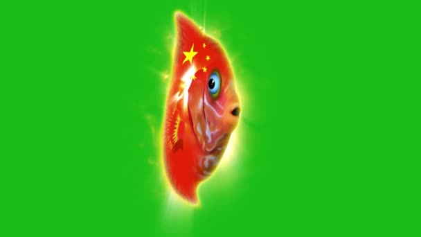 Vacker Fisk Med Flagga Färger Grön Bakgrund — Stockvideo