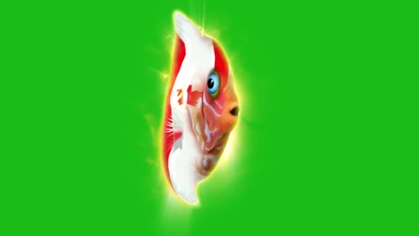 绿色背景上有旗色的漂亮鱼 — 图库视频影像