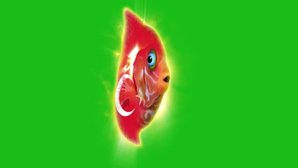 Mooie Vis Met Vlag Kleuren Een Groene Achtergrond — Stockvideo