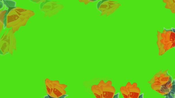 Flowers Flag Colors Appear Background Frame — Stock Video