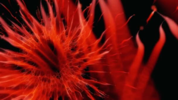 Piękny Efekt Przypominający Kosmiczny Kwiat — Wideo stockowe