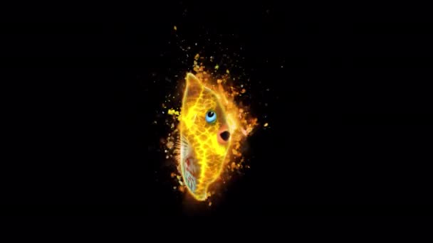 Яркая Огненная Рыба Появляется Красивым Эффектом — стоковое видео
