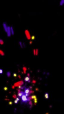 Parlak kıvılcımlar kıvılcımlar saçar ve gece ateşböcekleri gibi uzayda dart atar..