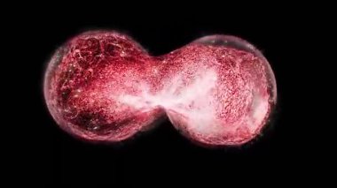 Enerji küreleri canlı bir organizmadaki hücreler gibi bölünür..