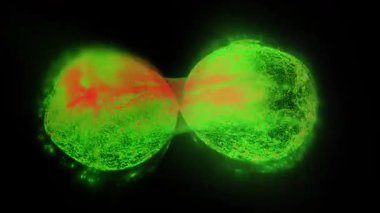 Enerji küreleri canlı bir organizmadaki hücreler gibi bölünür..