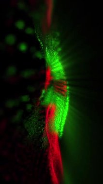 Hayal gücünü harekete geçiren sanal dalgaların soyutlanması, zihni eşsiz yaratıcı bir atmosfere daldırıyor..