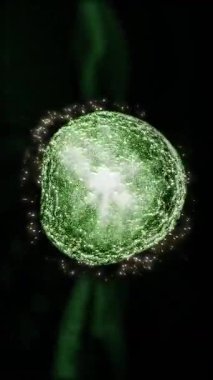 Yaşayan bir enerji küresi ağırlıksız bir su damlası gibi hareket eder ve canlı bir organizmanın hücresi gibi konumunu değiştirir..