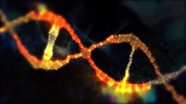  Bu video insan DNA 'sı, mikrobiyoloji, RNA proteini, farmasötik sağlık, genetik, kök hücre araştırmaları, sağlık hizmetleri veya insan genomu için mükemmel bir konsept oluşturur.. 
