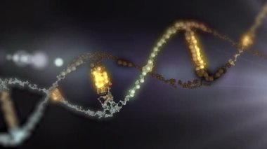  Bu video insan DNA 'sı, mikrobiyoloji, RNA proteini, farmasötik sağlık, genetik, kök hücre araştırmaları, sağlık hizmetleri veya insan genomu için mükemmel bir konsept oluşturur.. 