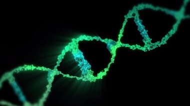 Üç boyutlu DNA ipliği spirale dönüşür. Bu video insan DNA 'sı, mikrobiyoloji, RNA proteini, ilaç endüstrisi, genetik, kök hücre araştırması, sağlık hizmetleri veya insan genomu kavramını mükemmel bir şekilde göstermektedir..