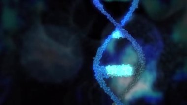  Bu video insan DNA 'sı, mikrobiyoloji, RNA proteini, farmasötik sağlık, genetik, kök hücre araştırmaları, sağlık hizmetleri veya insan genomu için mükemmel bir konsept oluşturur.. 