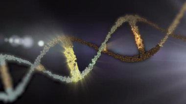  Bu video insan DNA 'sı, mikrobiyoloji, RNA proteini, farmasötik sağlık, genetik, kök hücre araştırmaları, sağlık hizmetleri veya insan genomu için mükemmel bir konsept oluşturur.. 