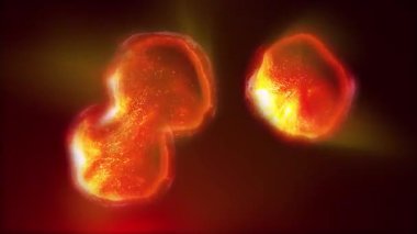 Hücre bölünmesini mikroskopla incelemek. Herhangi bir tıbbi, teknolojik ve benzer proje için hücrelerin soyut animasyonu.