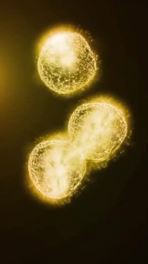 Hücre bölünmesini mikroskopla incelemek. Herhangi bir tıbbi, teknolojik ve benzer proje için hücrelerin soyut animasyonu.