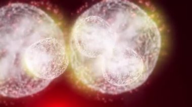 Hücre bölünmesini mikroskopla incelemek. Herhangi bir tıbbi, teknolojik ve benzer proje için hücrelerin soyut animasyonu.