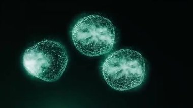 Hücre bölünmesini mikroskopla incelemek. Herhangi bir tıbbi, teknolojik ve benzer proje için hücrelerin soyut animasyonu.