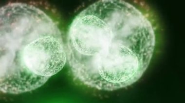 Hücre bölünmesini mikroskopla incelemek. Herhangi bir tıbbi, teknolojik ve benzer proje için hücrelerin soyut animasyonu.