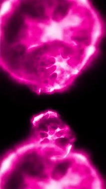 Hücre bölünmesini mikroskopla incelemek. Herhangi bir tıbbi, teknolojik ve benzer proje için hücrelerin soyut animasyonu.