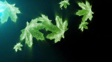 Düşen akçaağaç yapraklarının sonbahar animasyonu. Sonbahar doğasının atmosferini taşır..