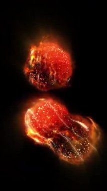 Yaşayan bir organizmanın hücreleri bölünür, kontrol edilemeyen büyüme ve hücre ve bakterilerin çoğalma sürecini açıkça gösterir..