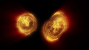 Yaşayan bir organizmanın hücreleri bölünür, kontrol edilemeyen büyüme ve hücre ve bakterilerin çoğalma sürecini açıkça gösterir..