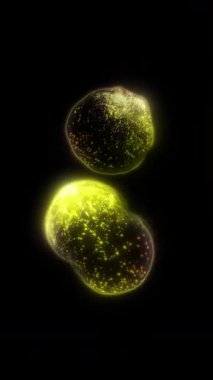 Yaşayan bir organizmanın hücreleri bölünür, kontrol edilemeyen büyüme ve hücre ve bakterilerin çoğalma sürecini açıkça gösterir..