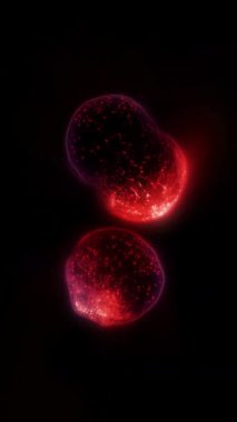 Yaşayan bir organizmanın hücreleri bölünür, kontrol edilemeyen büyüme ve hücre ve bakterilerin çoğalma sürecini açıkça gösterir..