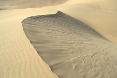 white sand dunes of the desert