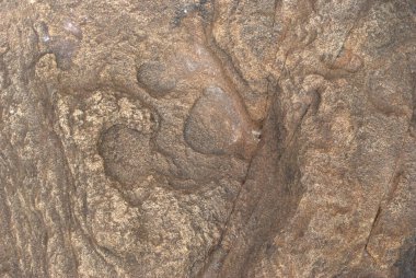 Yüzü olan bir taşın yakın çekimi.