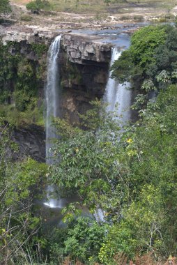 Ormanın ortasında bir şelale.