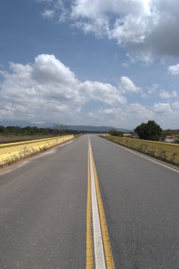 Sarı çizgili bir yol.