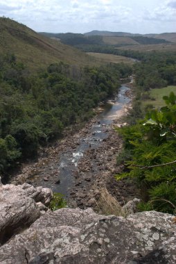 Bir nehir yemyeşil bir ormanın içinden akıyor.