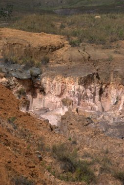 Küçük bir çimenliği olan büyük bir toprak alanı.
