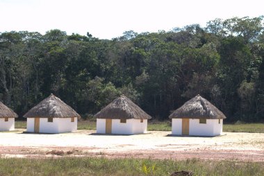 Bir tarlada sazdan çatıları olan bir sıra kulübe.