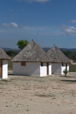 Çayırda sazdan çatıları olan bir grup kulübe.