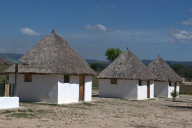 Arka planda mavi gökyüzü olan bir sıra sazdan kulübe.
