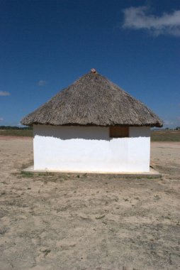Tarlada sazdan yapılmış çatısı olan küçük bir kulübe.