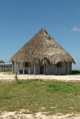 Tarlada sazdan yapılmış çatısı olan küçük bir kulübe.