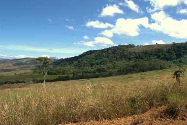 Arkasında tepe olan bir tarla