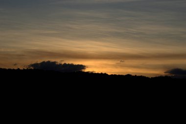 Bir ağaç silueti ve bir uçakla gün batımı.