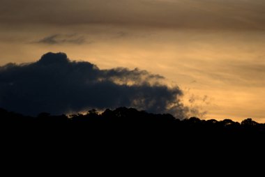 Arka planda bir bulutla gökyüzünde uçan bir uçak.
