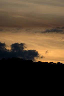 Gün batımında gökyüzünde uçan bir uçak.