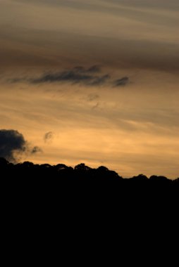 Gün batımında gökyüzünde uçan bir uçak.