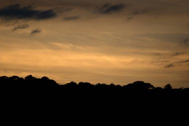 Gün batımında gökyüzünde uçan bir uçak.