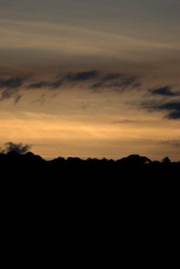 Gün batımında gökyüzünde uçan yalnız bir uçak.