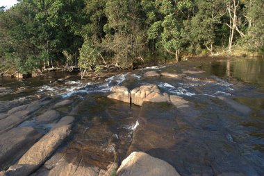 Arkasında kayalar ve ağaçlar olan bir nehir.