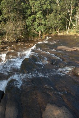 Arkasında kayalar ve ağaçlar olan bir nehir.