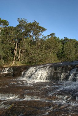 Şelalesi ve arka planında ağaçları olan bir nehir.