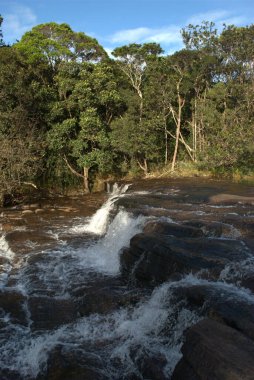 Şelalesi ve arka planında ağaçları olan bir nehir.
